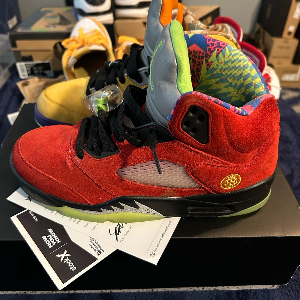 Air Jordan 5 What The